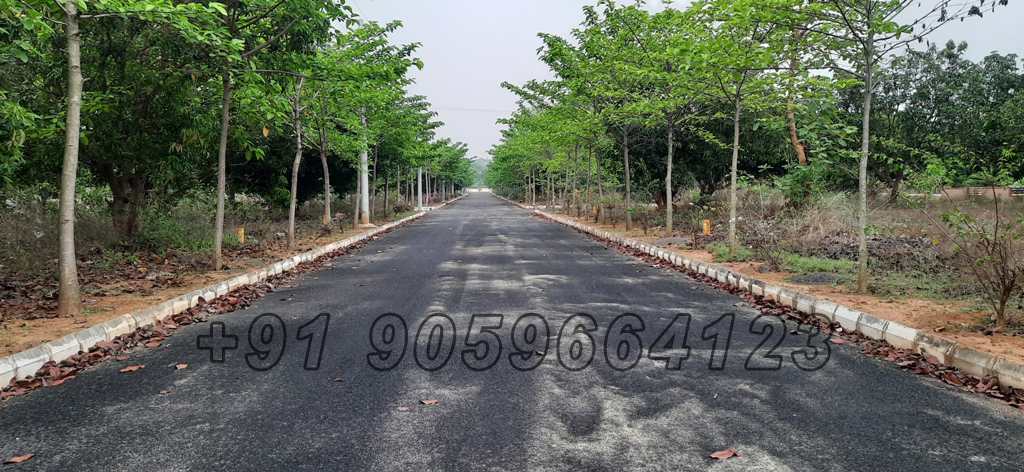 alluris nandanavanam black top roads