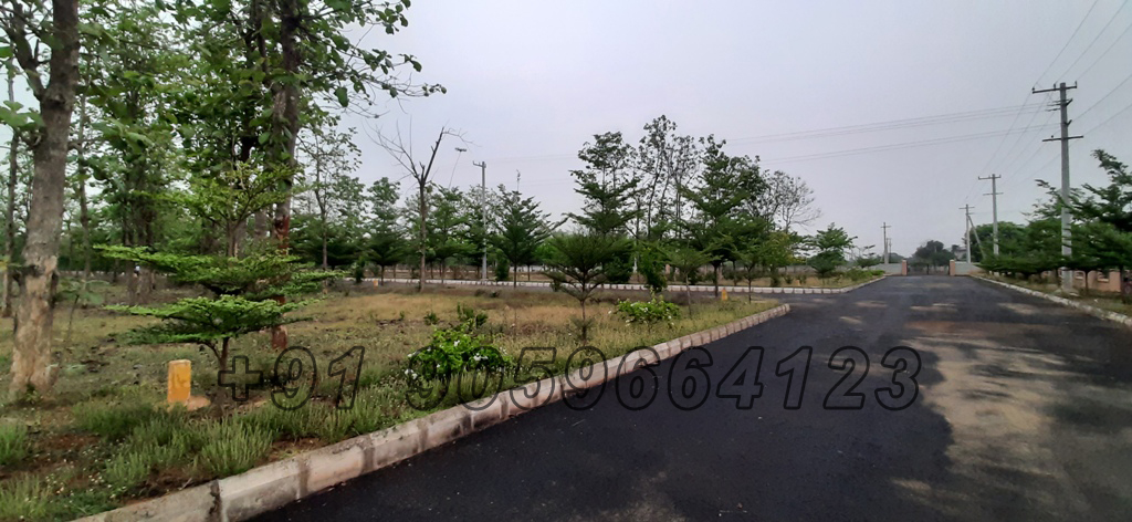 alluris nandanavanam lp number