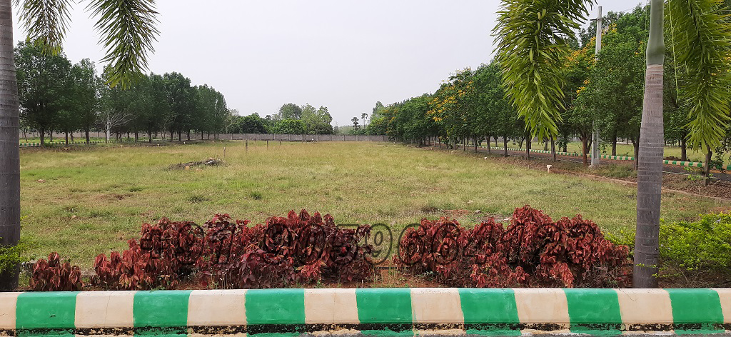 sai-meadows-layout-dakamarri