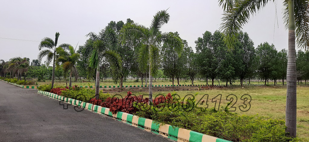 sai-meadows-layout-dakamarri