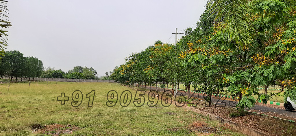 sai-meadows-layout-dakamarri