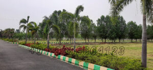 51-2017-52-2017-sai-meadows