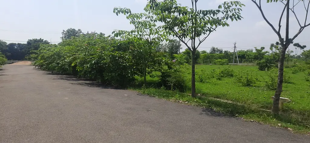 residential commercial plots duppada